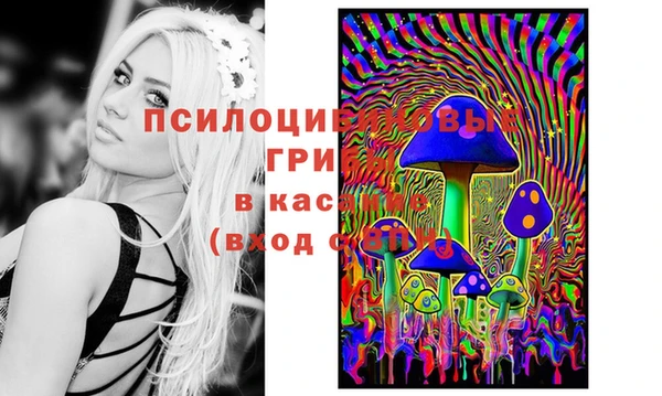 марки nbome Горняк