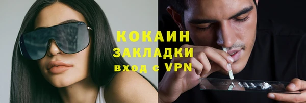 индика Вязьма