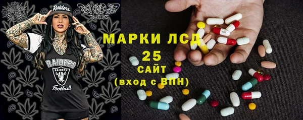 индика Вязьма
