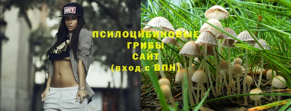 индика Вязьма