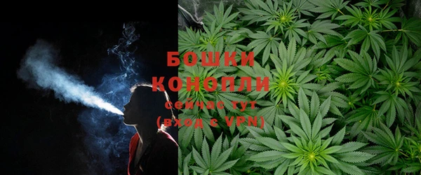 индика Вязьма