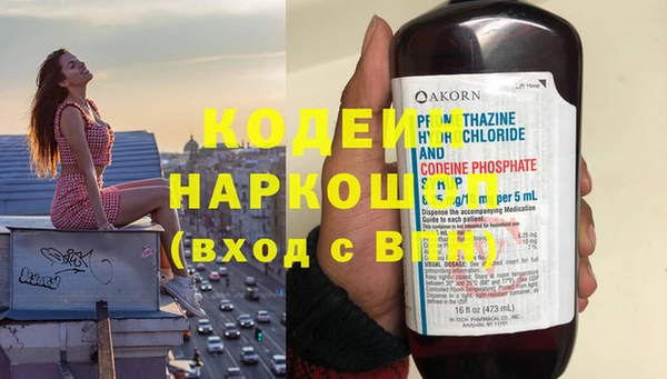 спиды Вяземский