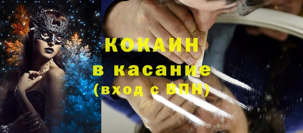 индика Вязьма