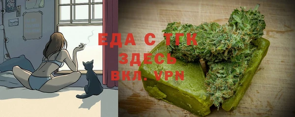 спиды Вяземский