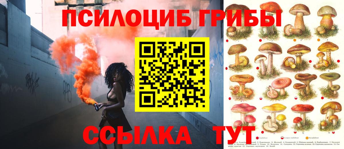 Галлюциногенные грибы Magic Shrooms  Псилоцибиновые грибы мухоморы  Вход с VPN  Снежинск 