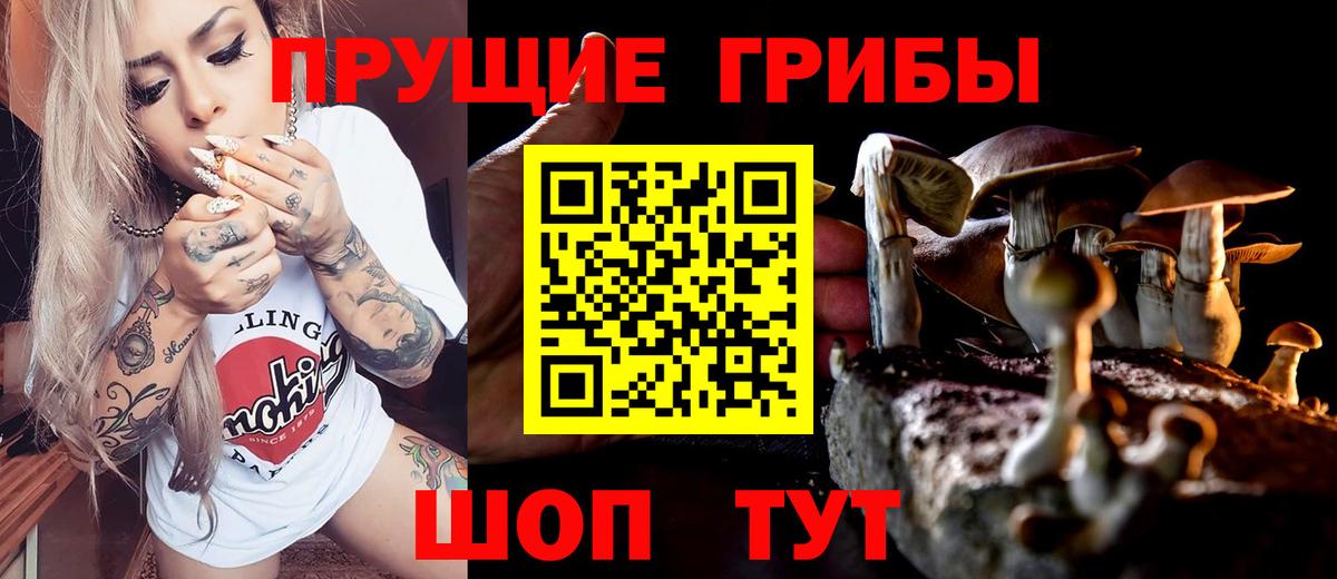 Псилоцибиновые грибы мицелий Снежинск